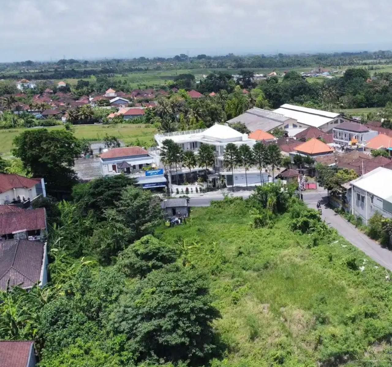 Tanah komersil munggu