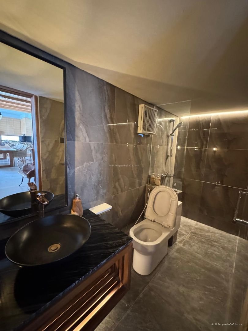 New brand villa canggu