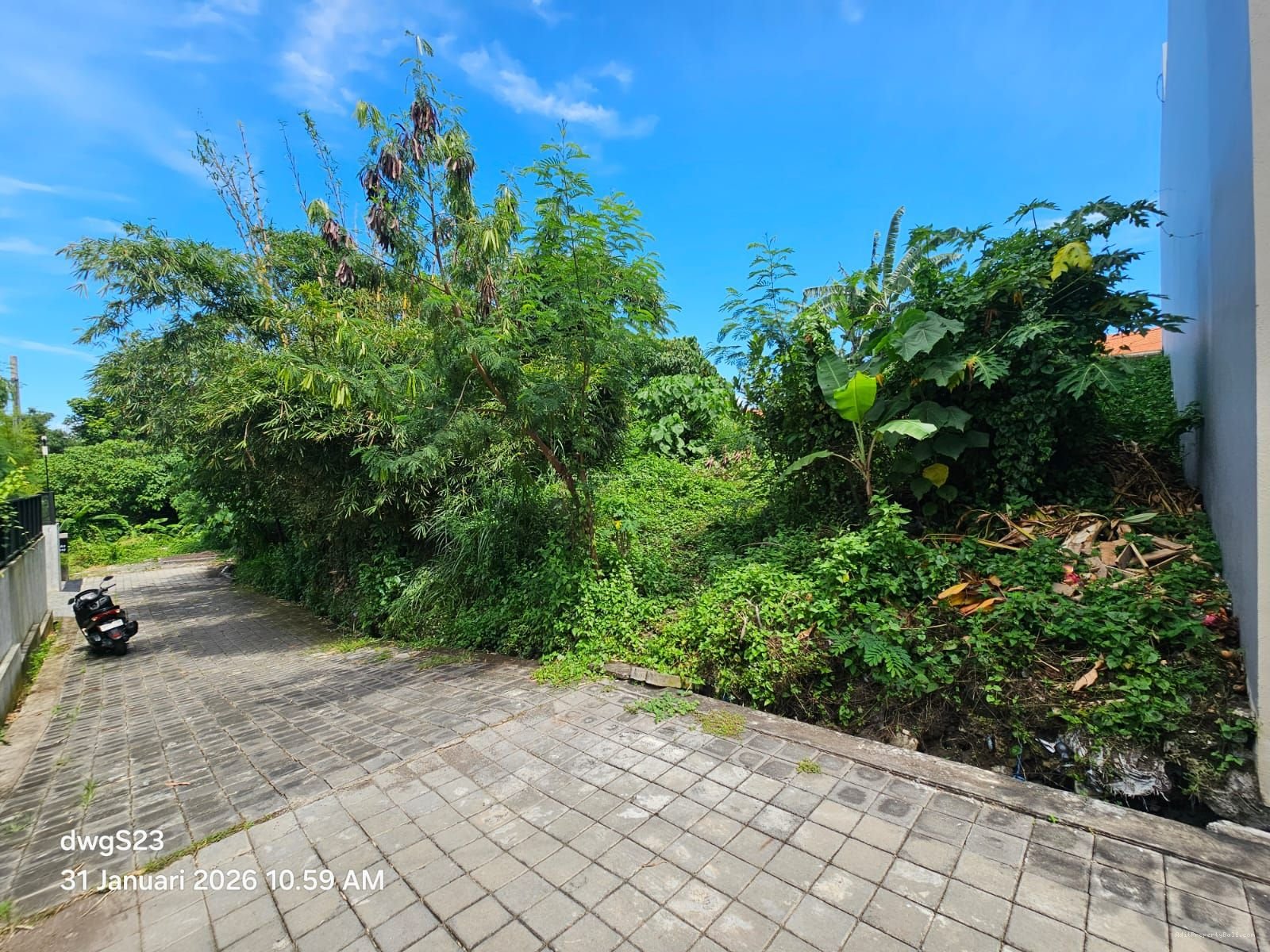 Tanah premium canggu