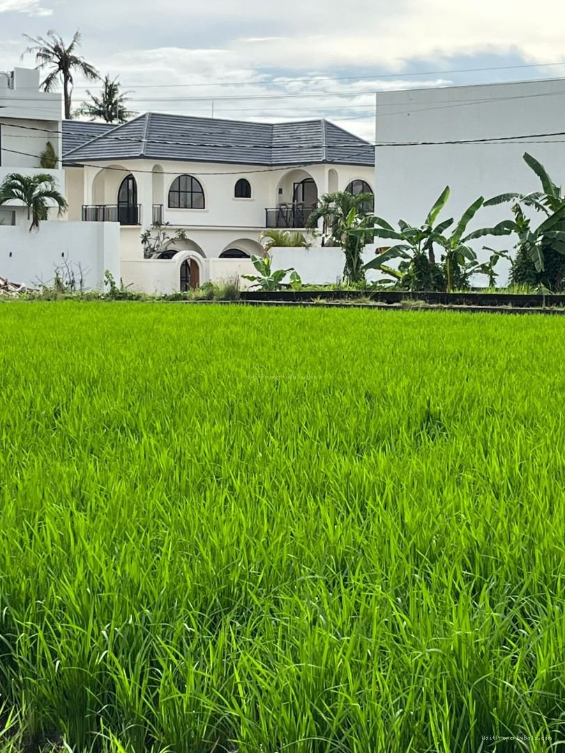 villa budukk