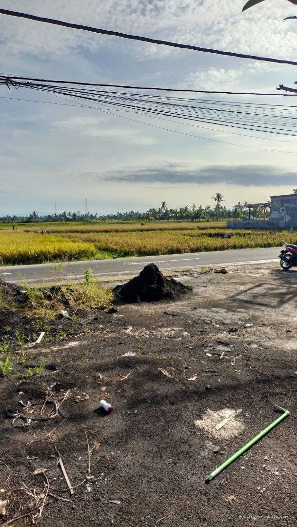 tanah yeh gangga