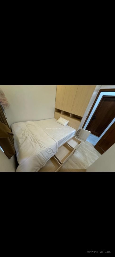 kost sesetan