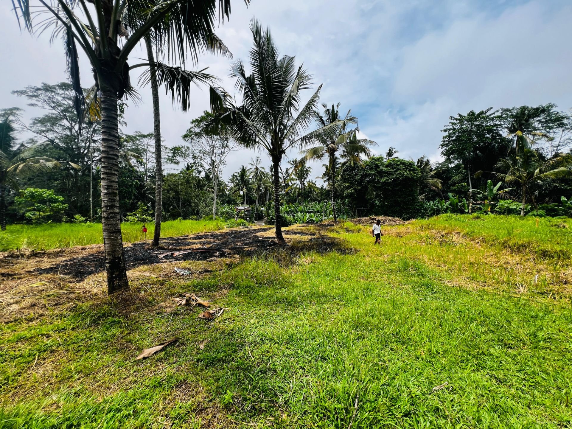 tanah payangan ubud