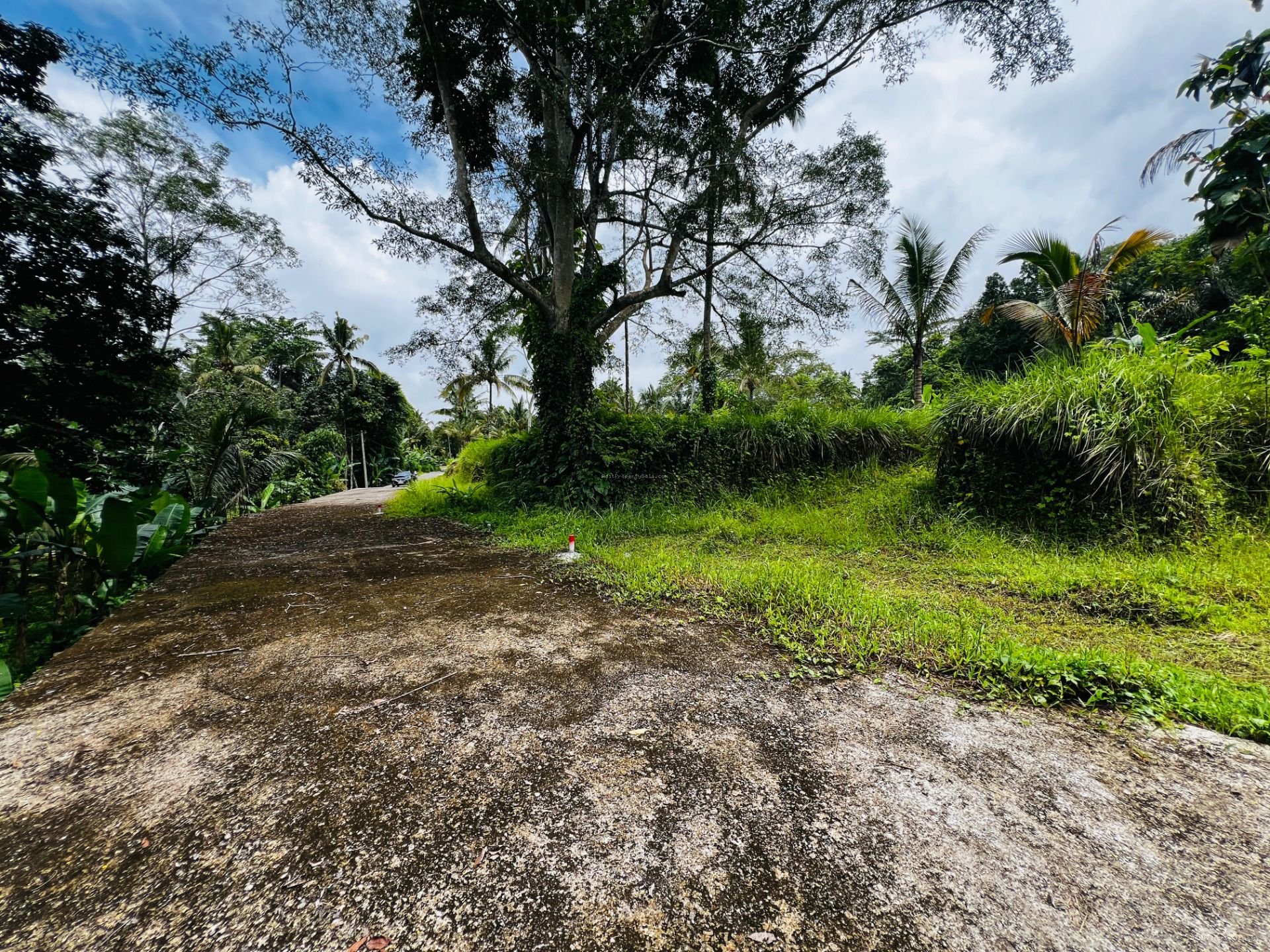 tanah payangan ubud
