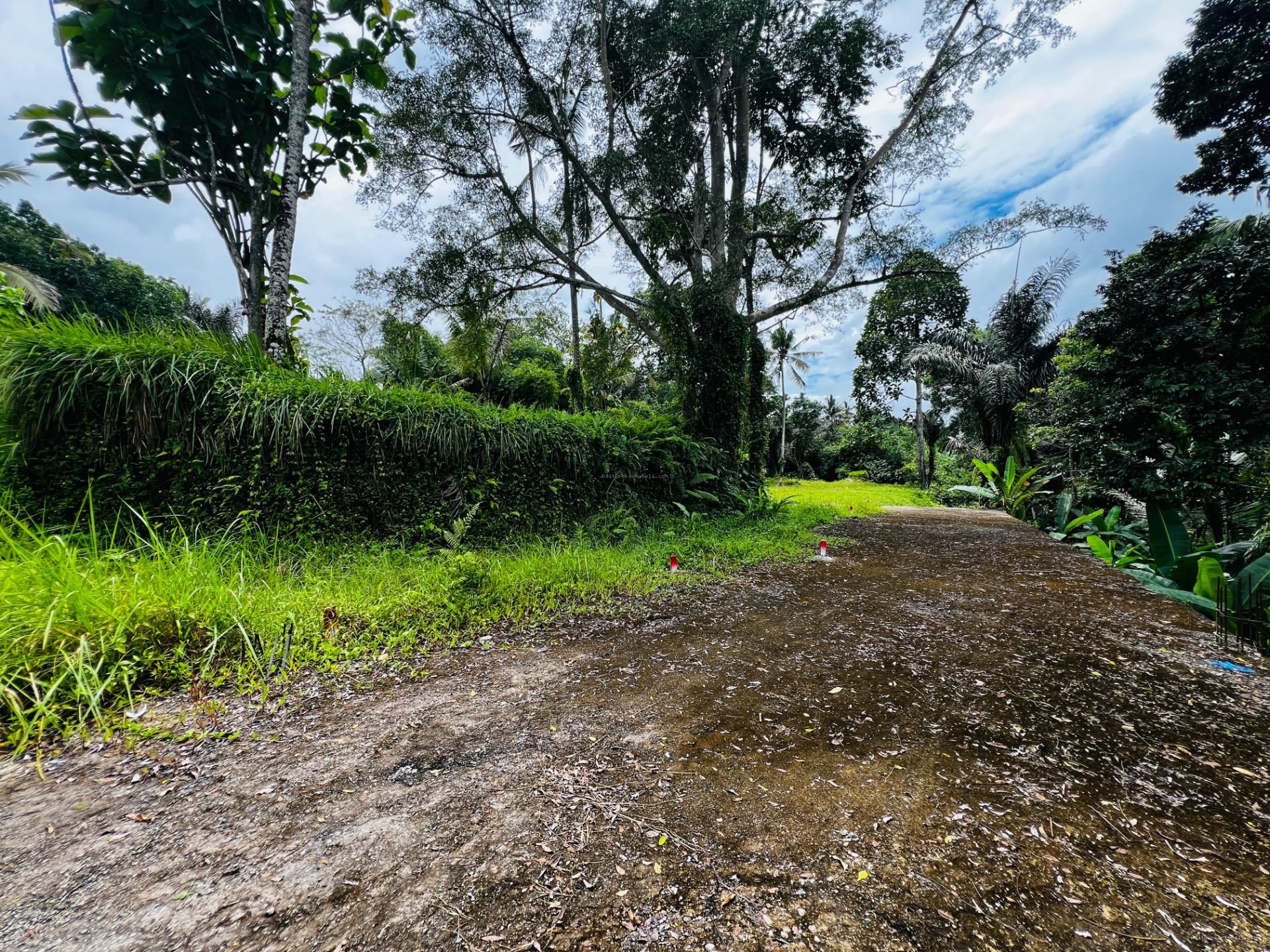 tanah payangan ubud