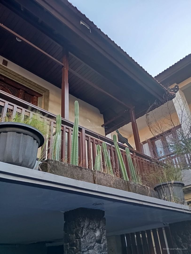 guest house sanur