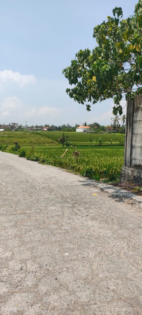tanah komersil nyanyi tb