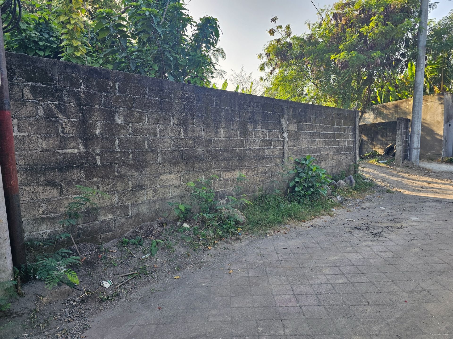 tanah padonan dlg