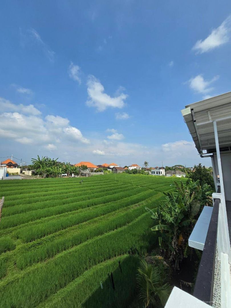vila canggu utara