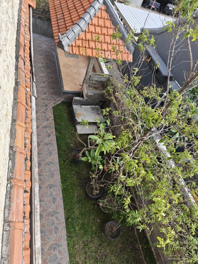 kost dalung T