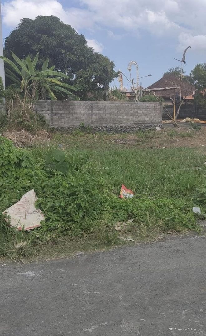 tanah buduk B